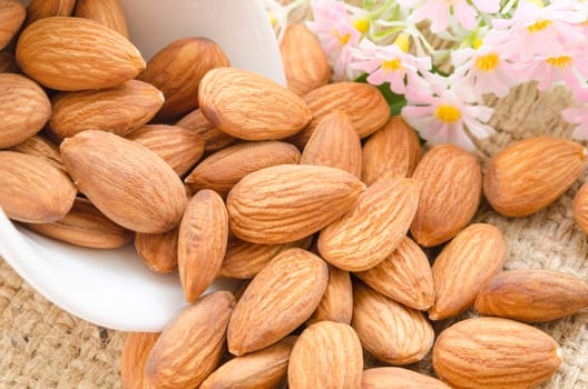Sweet almonds in white cup with flower on sack background.