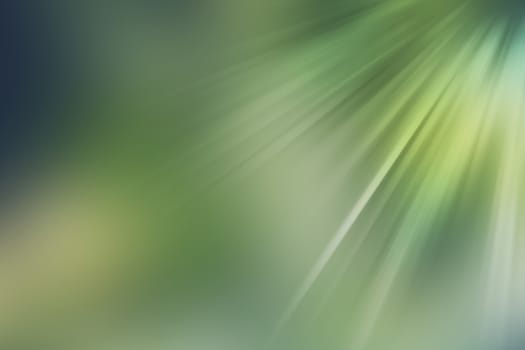 abstract natural blur background, defocused leaves, bokeh, nature background