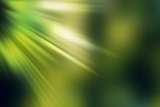 abstract natural blur background, defocused leaves, bokeh, nature background