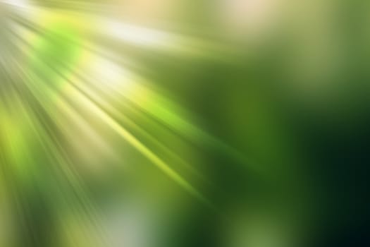 abstract natural blur background, defocused leaves, bokeh, nature background