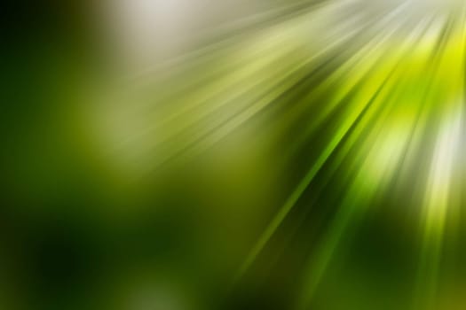 abstract natural blur background, defocused leaves, bokeh, nature background