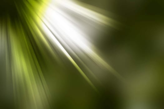 abstract natural blur background, defocused leaves, bokeh, nature background