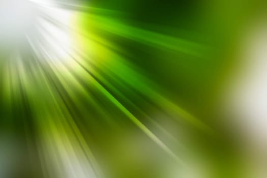 abstract natural blur background, defocused leaves, bokeh, nature background