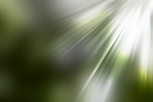 abstract natural blur background, defocused leaves, bokeh, nature background