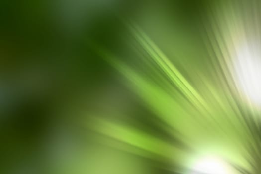 abstract natural blur background, defocused leaves, bokeh, nature background