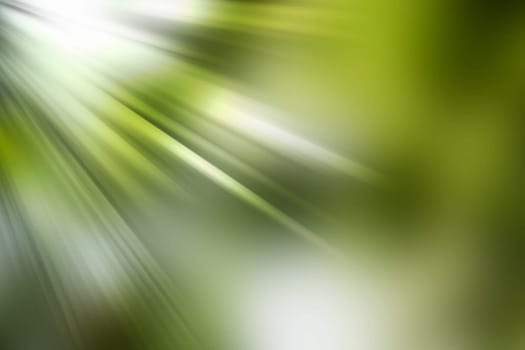 abstract natural blur background, defocused leaves, bokeh, nature background