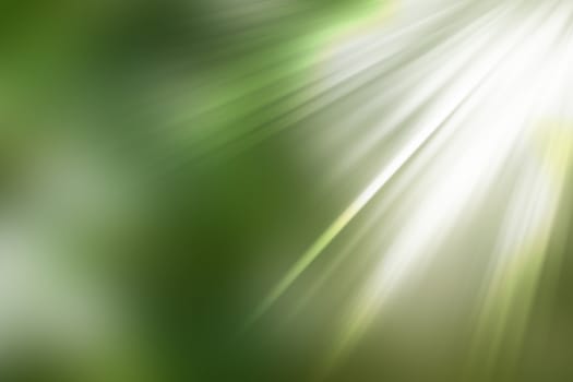 abstract natural blur background, defocused leaves, bokeh, nature background