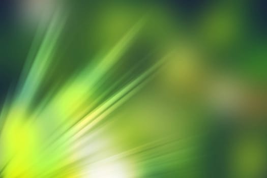 abstract natural blur background, defocused leaves, bokeh, nature background