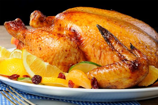 Baked chicken with slices of orange, lime, tangerine and cranberry
