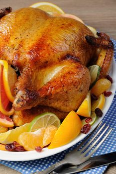 Baked chicken in orange, lime, tangerine and cranberry