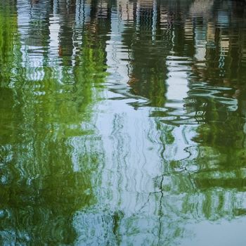 reflection of tree branch on the surface of water, use as abstract background