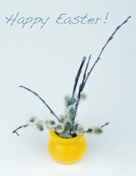 Easter Greeting Card with Branches of Small Fluffy Pussy-Willow in Yellow Pot and Inscription on Blue Toned background