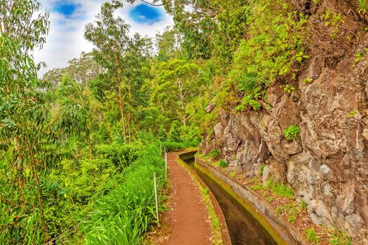 Madeira, hiking along irrigation channel (Levada)