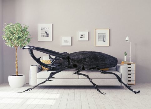 the beetle in the living room, lying on the sofa. 3d concept