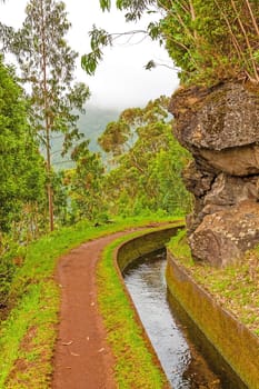 Madeira, hiking along irrigation channel (Levada)