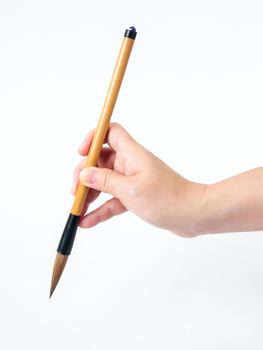 wooden brush in woman hand with white background