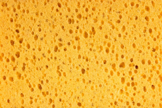 texture of sponge use for background