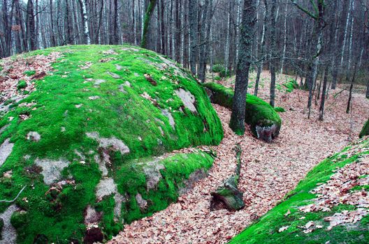 The tract stone village, Zhytomyr region village of Rudnya- Zamyslovichskaya