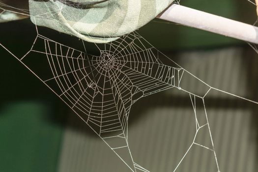 The spider web (cobweb) closeup background.