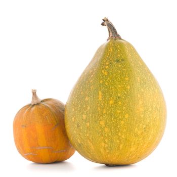 Pumpkins isolated on white background