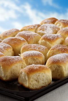 Sweet yeast buns on a baking tin