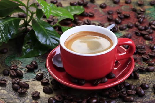 Cup of coffee with smooth brown foam