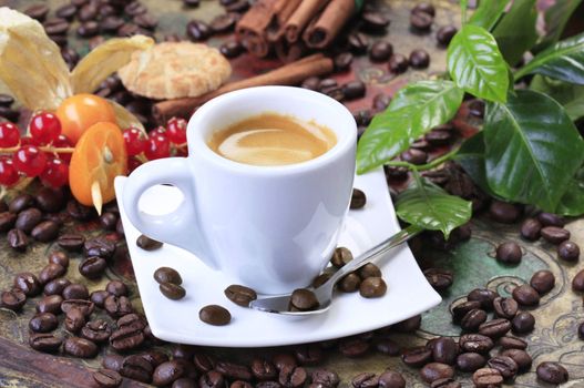 Cup of espresso with smooth brown foam