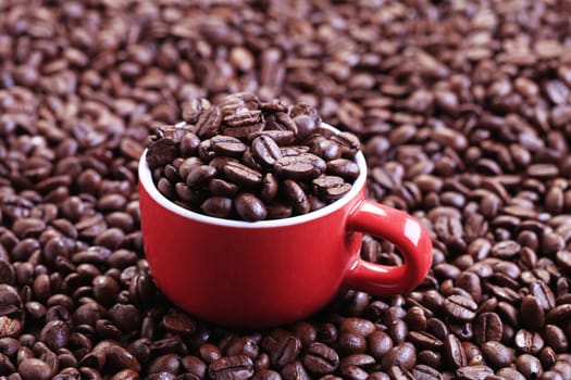 Roasted coffee beans in a red cup
