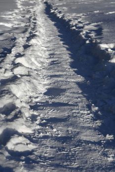 Snow covered path lined at december