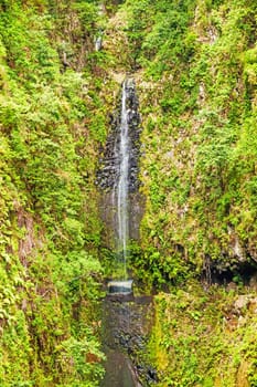 tropical waterfall on hike trail Levada do Central da Ribeira da Janela, Madeira island