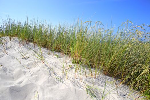 White sand dunes with grass and blue sky