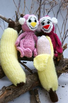 2016, year of monkey, symbol of intelligent, lucky, agile, group of handmade monkey on branch of tree with banana, knitted toy as stuffed animal make from yarn,  hand made product on white background