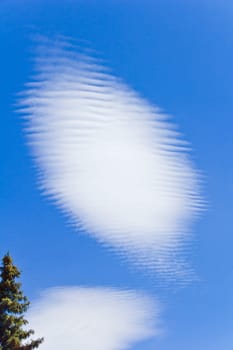 Summer blue sky with white oval cloud