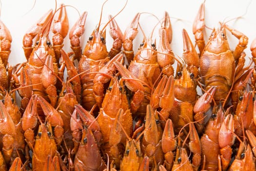 Photo of background with red boiled crawfishes