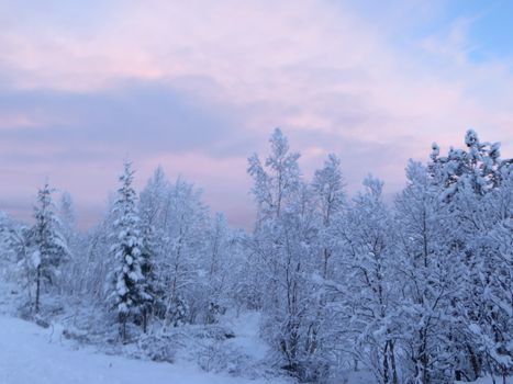 winter landscape, Norway