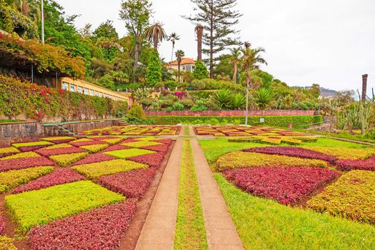Funchal, Portugal - June 03, 2013: Botanical garden "Jardim Botanico" in Funchal, Madeira. A famous tourist destination on the island Madeira.