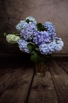 hydrangeas from the garden in spring, cut and placed into a glass vase on a dark timber floor l.  The color shades of purple and blue flowers. can change from blues /purples through to pinks, depending on the ph of your soil. Excellent cut flower.