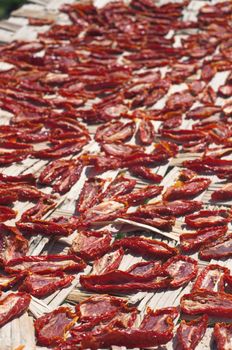 Tomatoes put in the sun to make them dry from italy