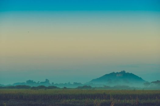 Beautiful sunset at a cornfield, abstract background, nature background