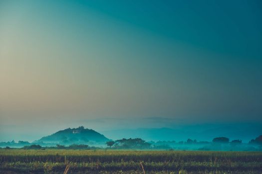 Beautiful sunset at a cornfield, abstract background, nature background