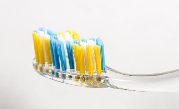 Toothbrush Close Up on white background.