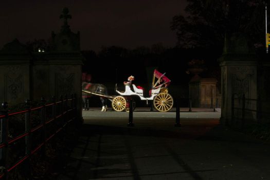 Typical carriage in which tourists move around Central Park