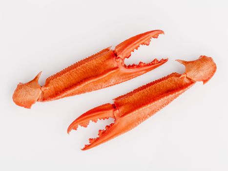 Boiled crab claws isolated on white background for crabs and seafood menu.