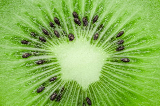 Close up center slice of fresh kiwi fruit