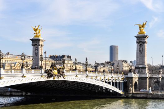 Pont Alexandre III and Montparnasse Tower in the background in Paris, France
