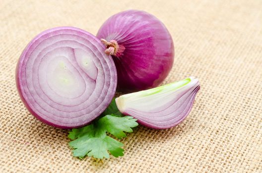 Red sliced onion on sack background