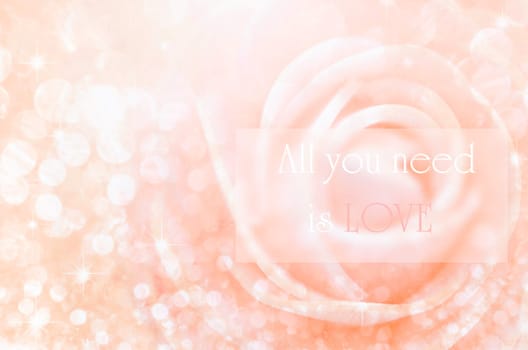 All you need is love on Sweet color roses in bokeh texture soft blur for background with pastel vintage retro style.