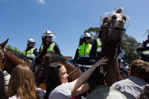 MELTON, VICTORIA/AUSTRALIA - NOVEMBER 2015: Anti Racism protesters violently clashed with reclaim australia groups rallying agsint Mulsim immigration.