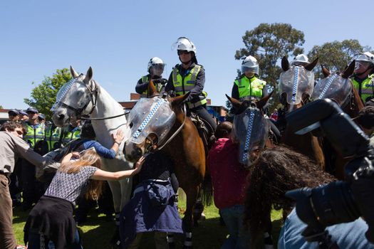 MELTON, VICTORIA/AUSTRALIA - NOVEMBER 2015: Anti Racism protesters violently clashed with reclaim australia groups rallying agsint Mulsim immigration.