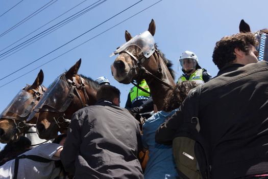 MELTON, VICTORIA/AUSTRALIA - NOVEMBER 2015: Anti Racism protesters violently clashed with reclaim australia groups rallying agsint Mulsim immigration.